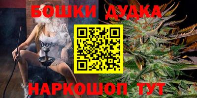 стафф Будённовск