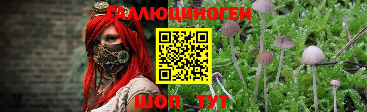 Псилоцибиновые грибы ЛСД Аксай