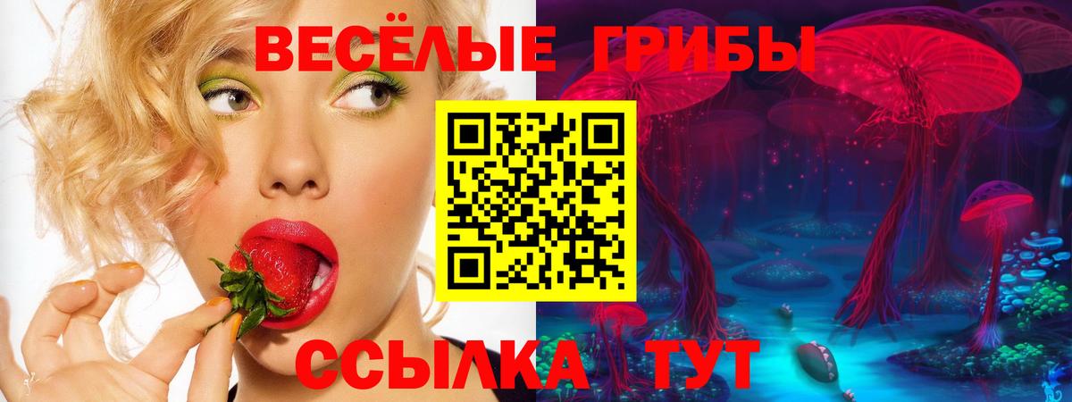 даркнет сайт  Галлюциногенные грибы ЛСД  Вход с VPN  Аксай  Галлюциногенные грибы MAGIC MUSHROOMS 